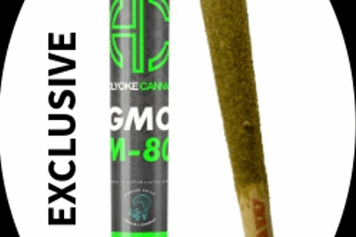 Holyoke Cannabis Dispensary Exclusive