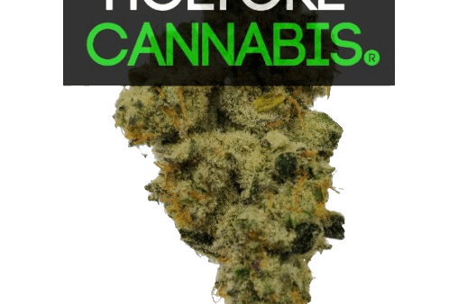 Holyoke Cannabis Dispensary | aHolyokecannabis.com