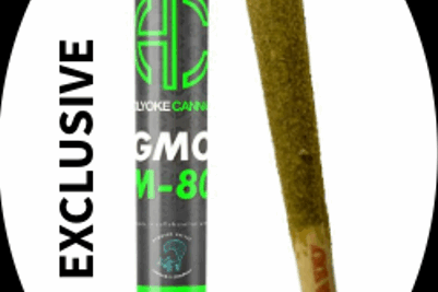 Holyoke Cannabis Dispensary Exclusive