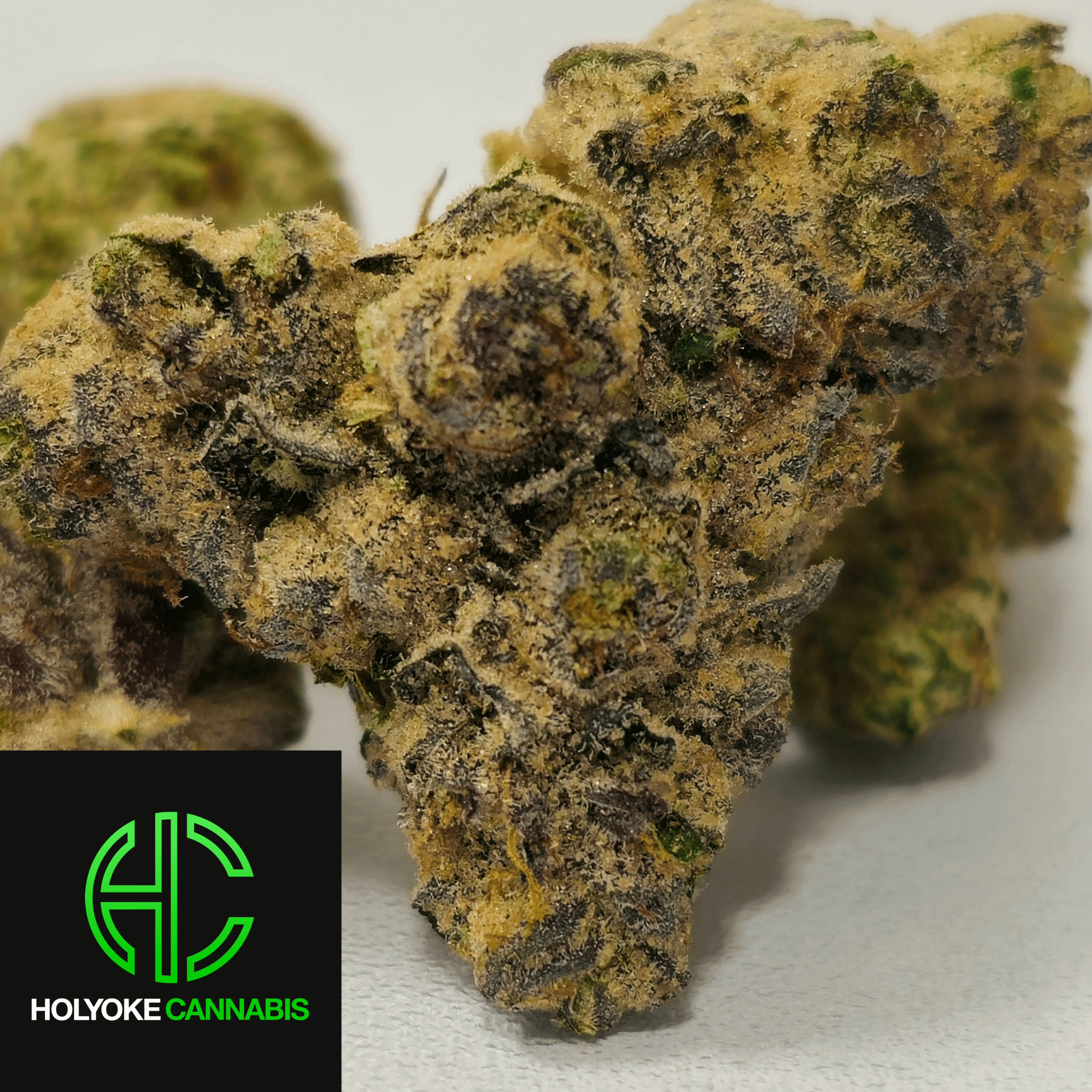 "Mac Stomper" Flower | Holyoke Cannabis DIspensary
