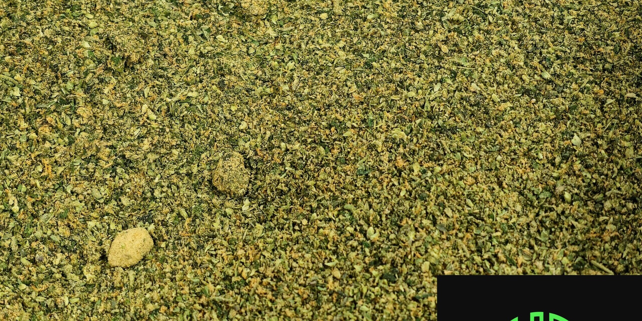 Holyoke Dispensario de Cannabis