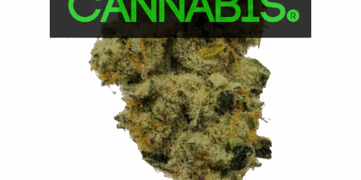 Holyoke Cannabis Dispensary | aHolyokecannabis.com