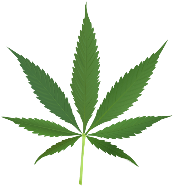 File:Cannabis leaf 2.svg