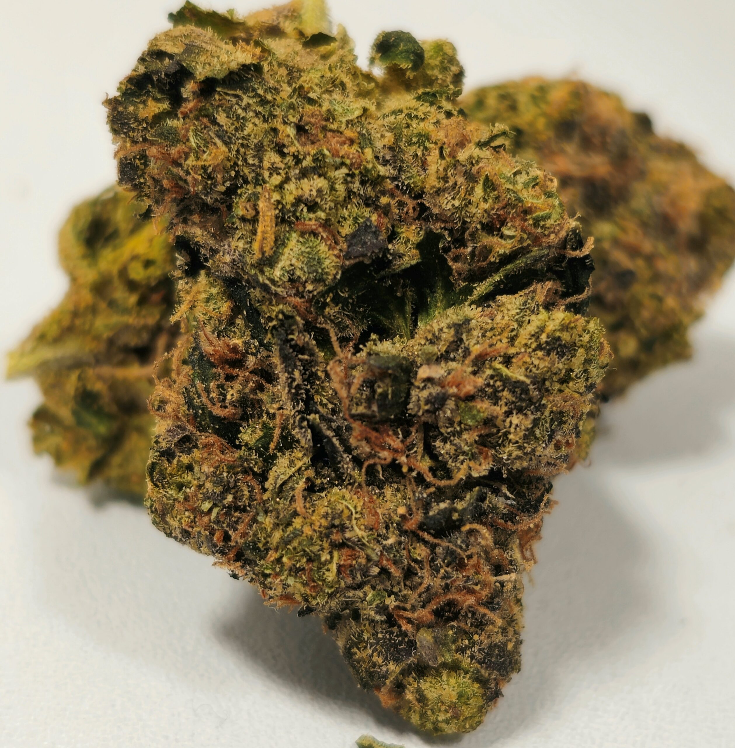 holyoke Cannabis Dispensary