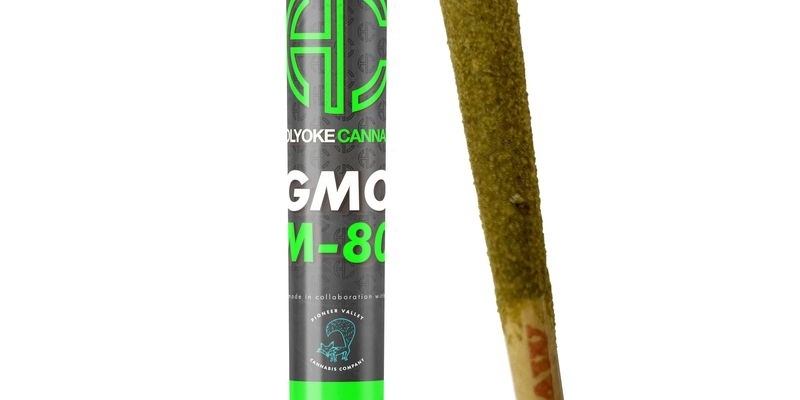 Holyoke Cannabis Exclusive