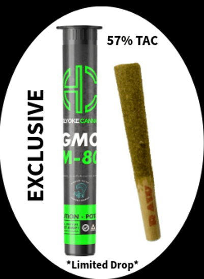 Holyoke Cannabis Dispensary Exclusive
