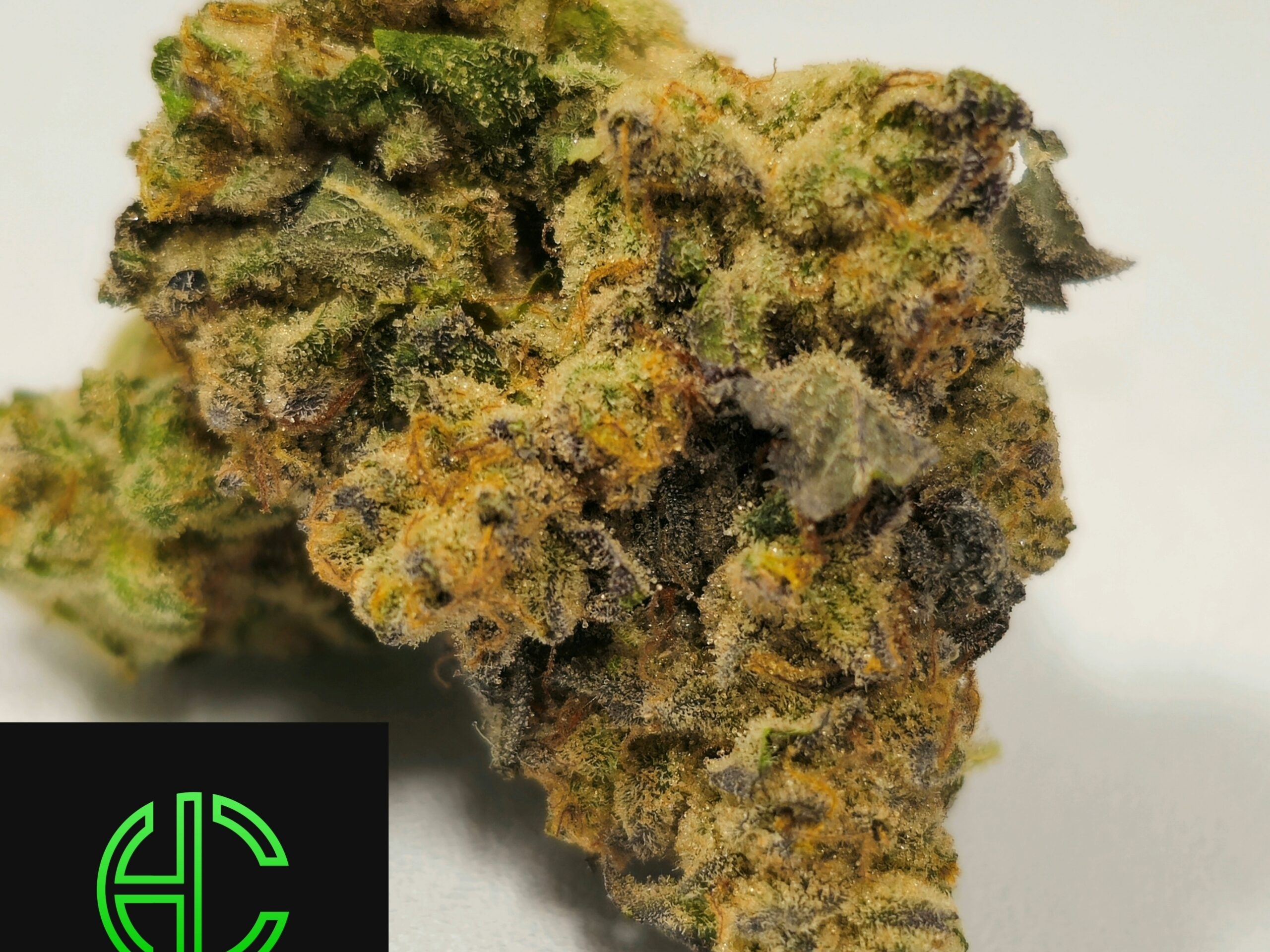 Holyoke Cannabis Dispensary Exclusive