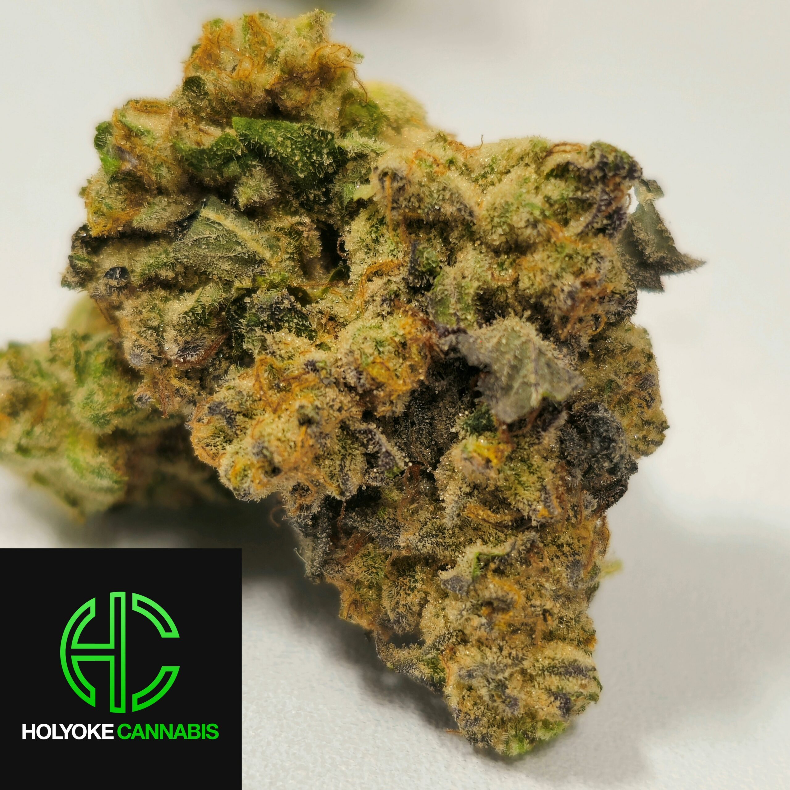 Holyoke Cannabis Dispensary Exclusive