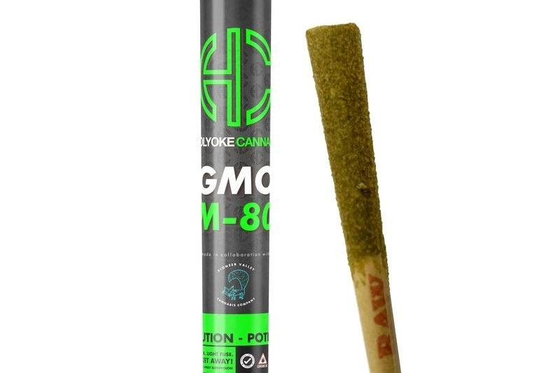 Holyoke Cannabis Exclusive