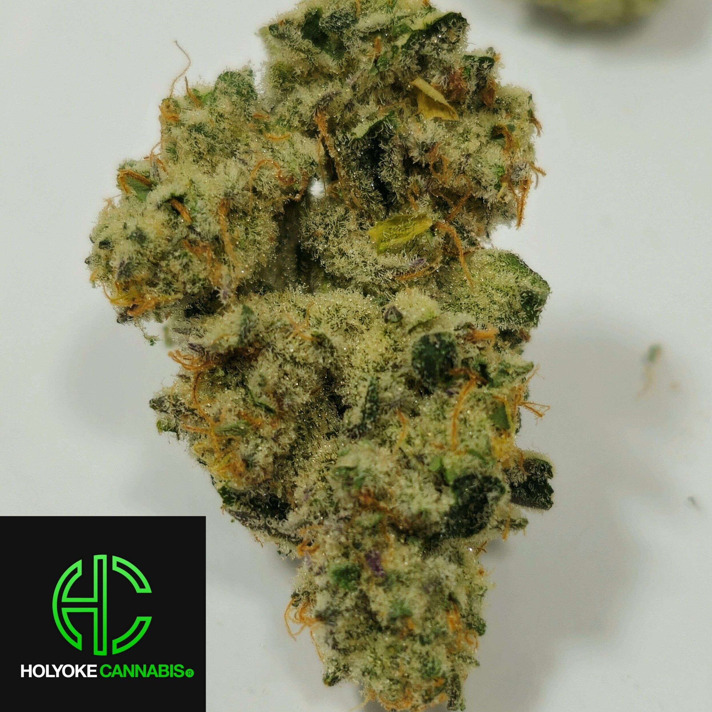 Holyoke Cannabis Dispensary Exclusive