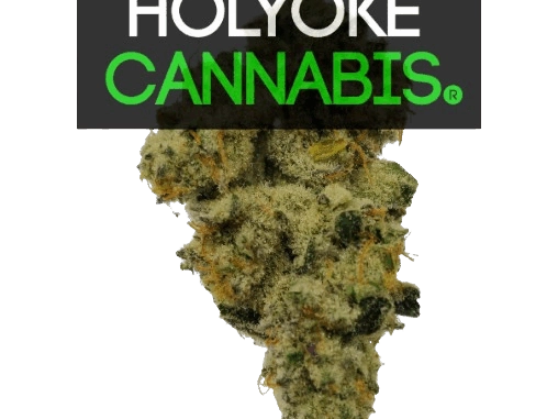 Holyoke Cannabis Dispensary | aHolyokecannabis.com