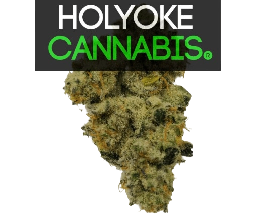 Holyoke Cannabis Dispensary | aHolyokecannabis.com