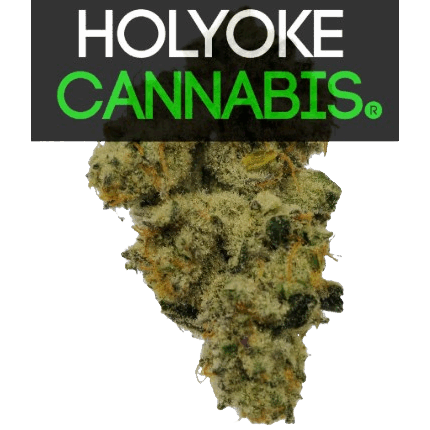 Holyoke Cannabis Dispensary | aHolyokecannabis.com