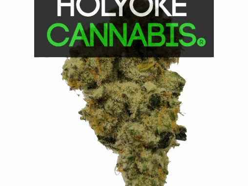 Holyoke Cannabis Dispensary | aHolyokecannabis.com