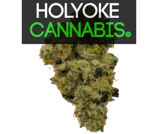 Holyoke Cannabis Dispensary | aHolyokecannabis.com