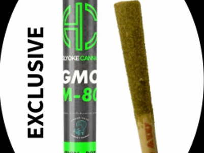 Holyoke Cannabis Dispensary Exclusive