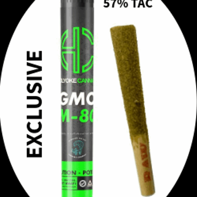 Holyoke Cannabis Dispensary Exclusive