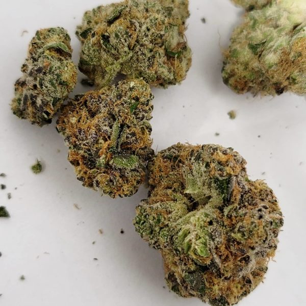 HOLYOKE CANNABIS Holyoke Cannabis Strain Feature "Lava  HOLYOKE CANNABIS Holyoke Cannabis Strain Feature "Lava