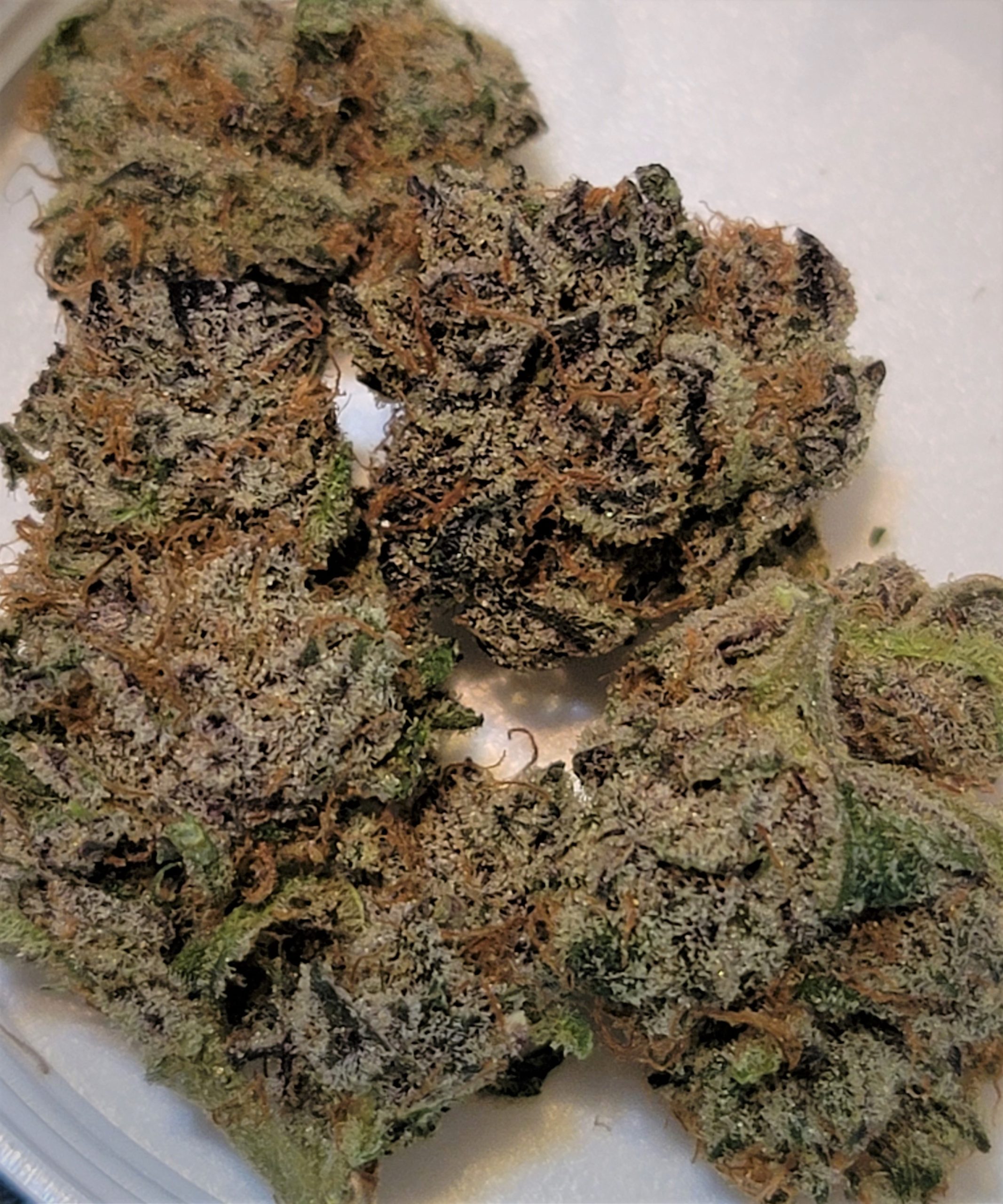 High quality Peanut Butter Breath for outside growing