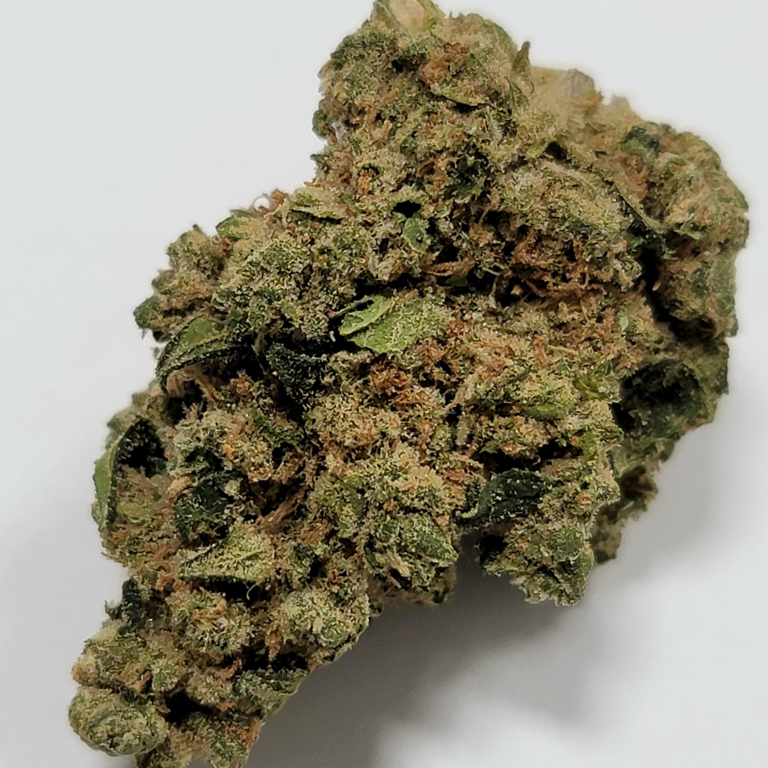 Cannabis Flower | Holyoke Cannabis Dispensary - Holyoke