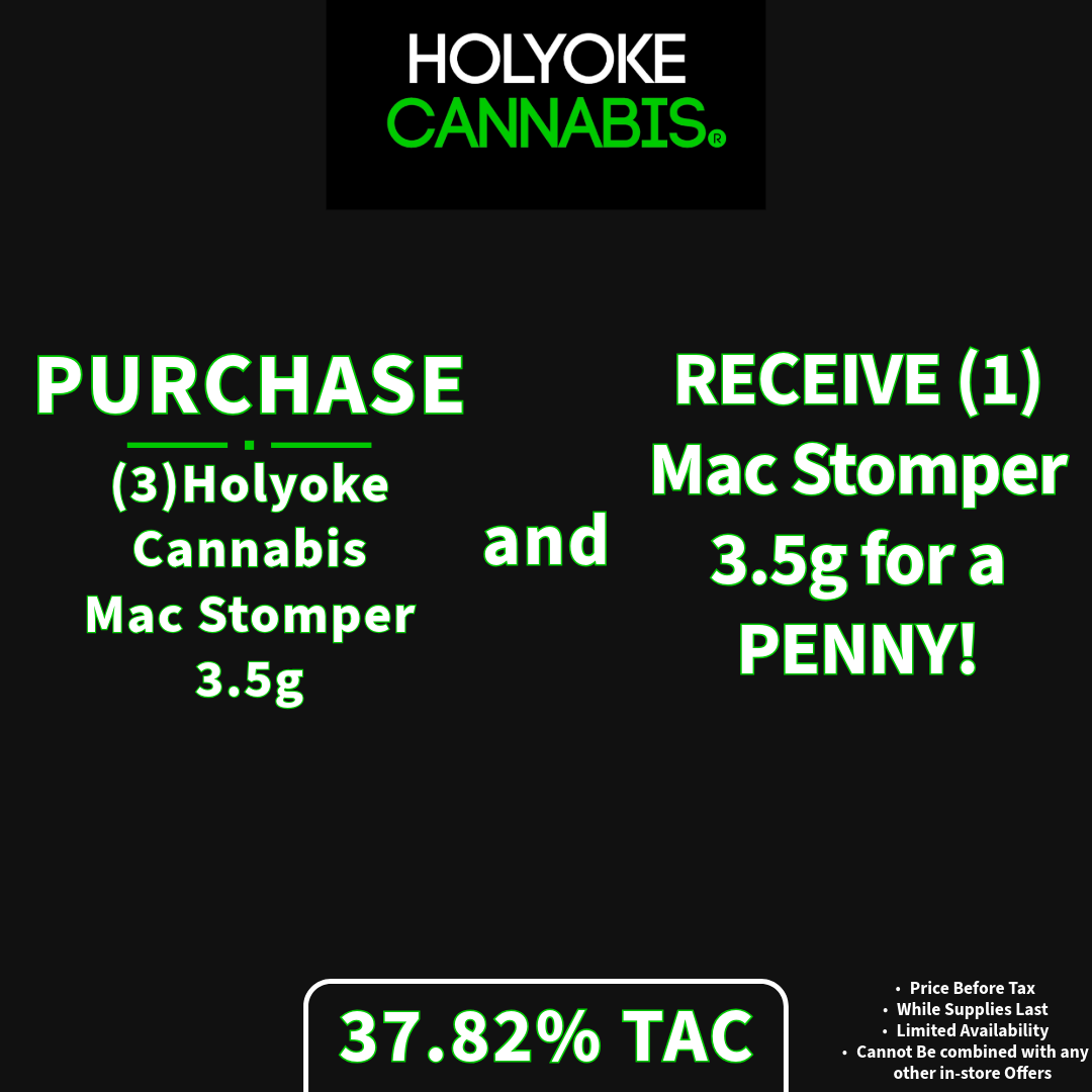Holyoke Cannabis Exclusive