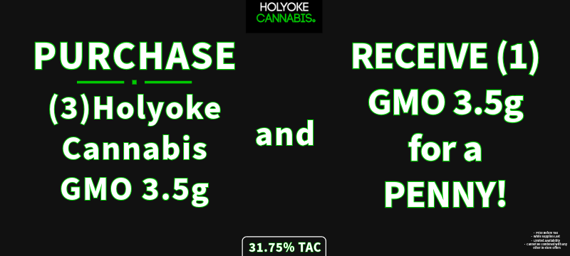 Holyoke Cannabis Exclusive