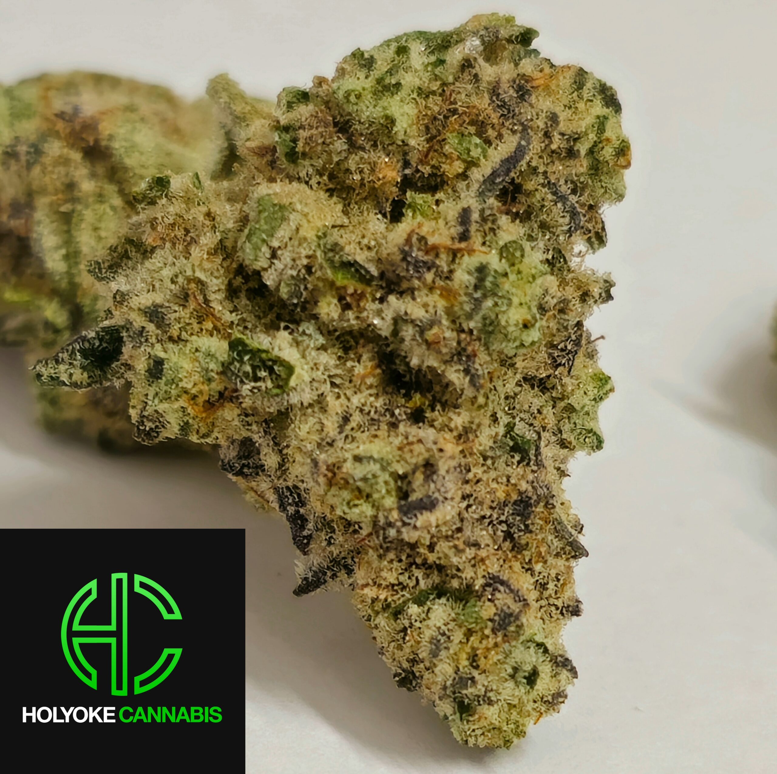 "Cap Junky" Holyoke Cannabis Dispensary