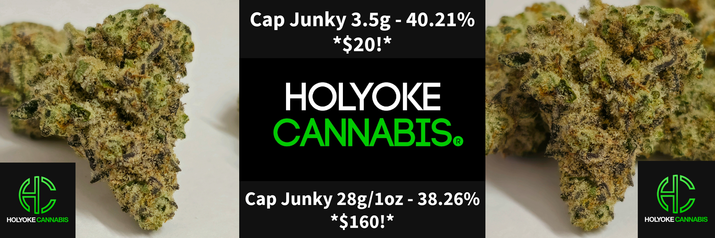 Holyoke Cannabis Exclusive