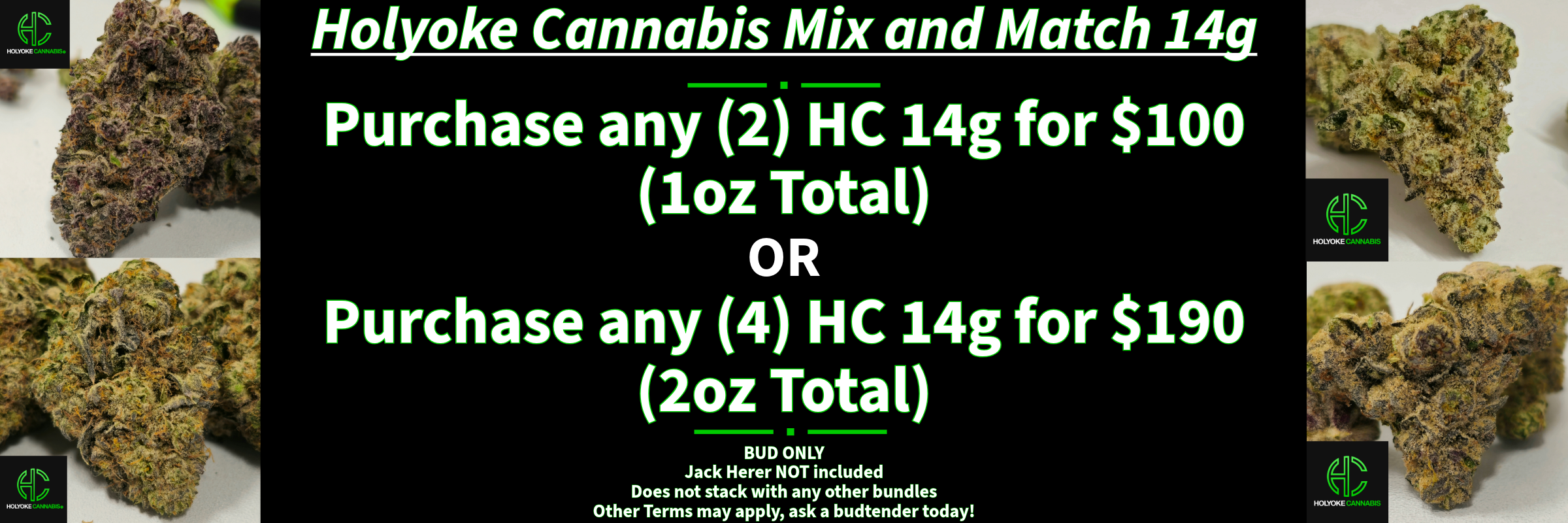 Holyoke Cannabis Dispensary