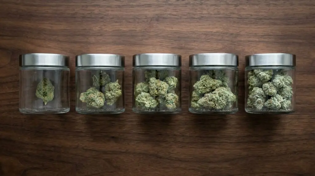 Five glass jars on dark walnut showing one gram, an eighth, a quarter, a half, and a full ounce of cannabis flower