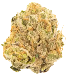 Dulce de Uva strain flower at Holyoke Cannabis in Holyoke, MA