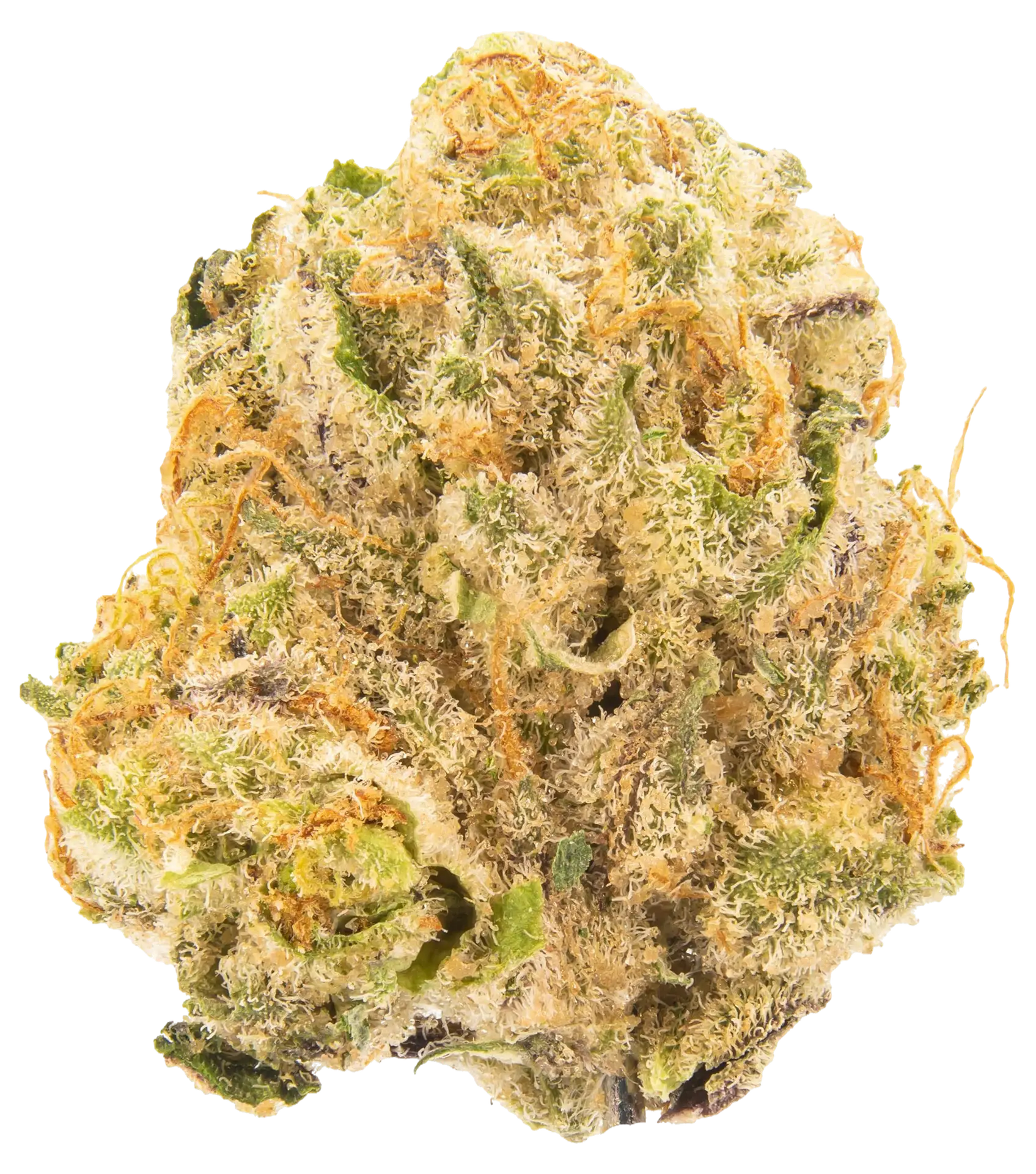 Dulce de Uva strain flower at Holyoke Cannabis in Holyoke, MA