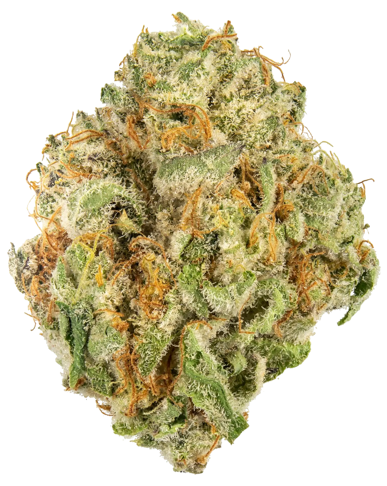 Soap strain flower at Holyoke Cannabis in Holyoke, MA