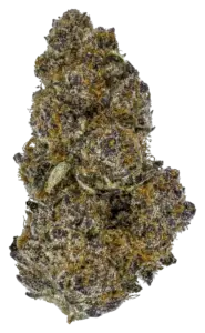 Superboof strain flower at Holyoke Cannabis in Holyoke, MA