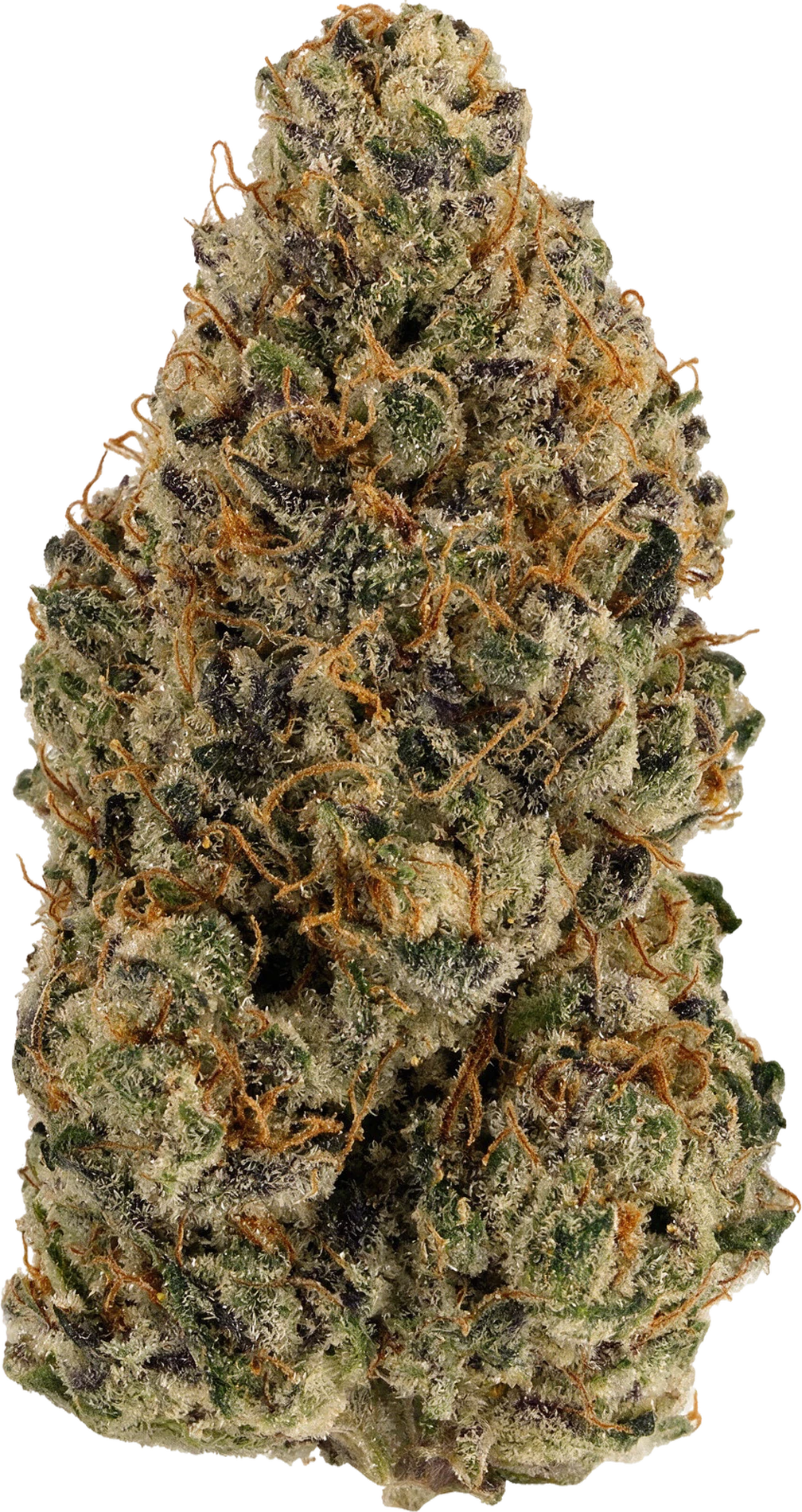 Hash Face strain flower at Holyoke Cannabis in Holyoke, MA