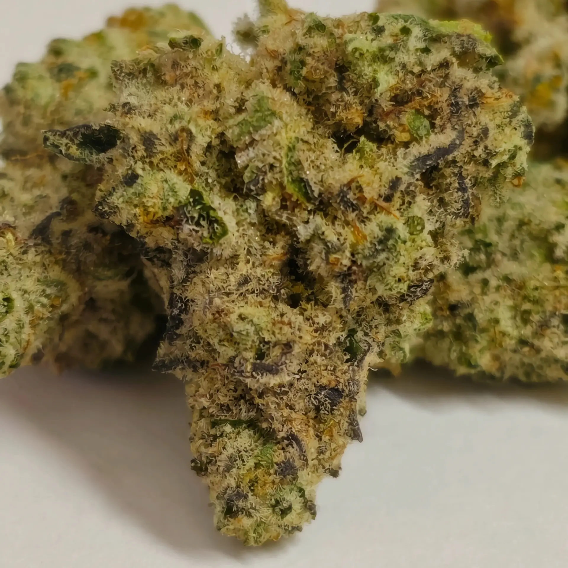 Cap Junky 14g batch flower at Holyoke Cannabis in Holyoke, MA